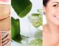 La sábila ofrece grandes beneficios al organismo y para el cuidado del cabello
