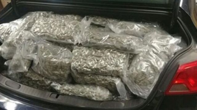 Cannabis dans la voiture d'une infirmi&egrave;re - flickr photo