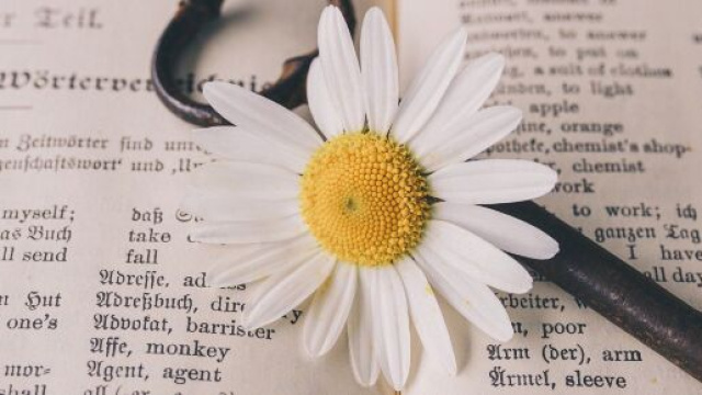 L'oroscopo del 5 maggio, previsioni seconda sestina: cambiamento per l'Acquario