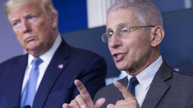 Anthony Fauci smentisce le tesi complottiste di Mike Pompeo: 'Coronavirus non &egrave; nato in laboratorio'