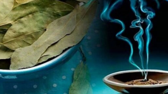Les feuilles de Laurier auraient de nombreuses vertus sur la sant&eacute; - Photo Pinterest