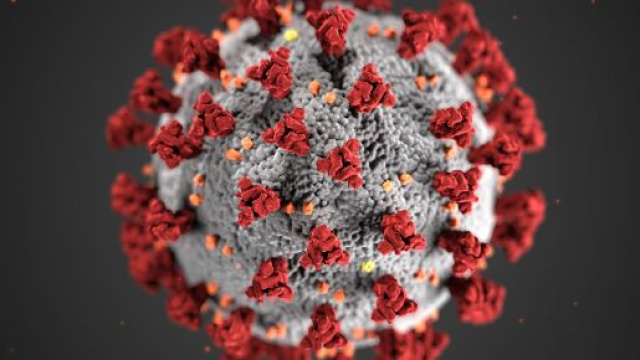Silvia Barbagallo: 'Ho avuto il coronavirus a dicembre ma l'ho scoperto solo una settimana fa'.