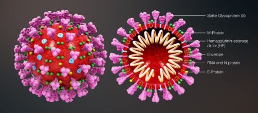 Conforme dados divulgados no dia 6 de maio, o Brasil atingiu a marca de 8.022 mortos pela Covid-19. (Arquivo Blasting News)