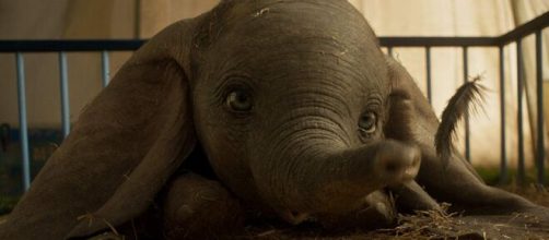 O signo de 5 atores que fazem parte do filme &lsquo;Dumbo'. ( Arquivo Blasting News )