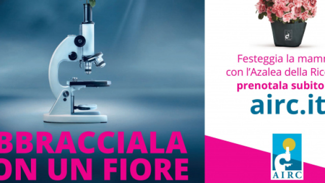 Festeggia la mamma con l'Azalea della Ricerca AIRC