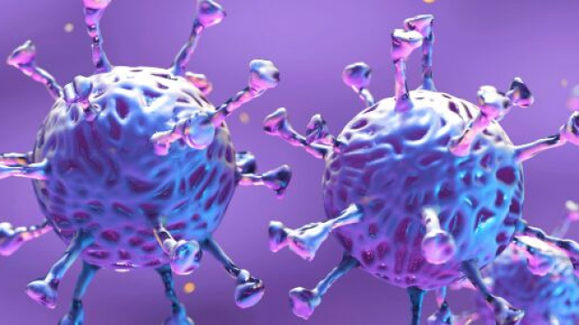 Coronavirus on Fabric: What You Should Know - webmd.com