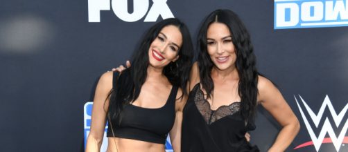 Nikki e Brie Bella ter&atilde;o filhos com data pr&oacute;xima. (Arquivo Blasting News)