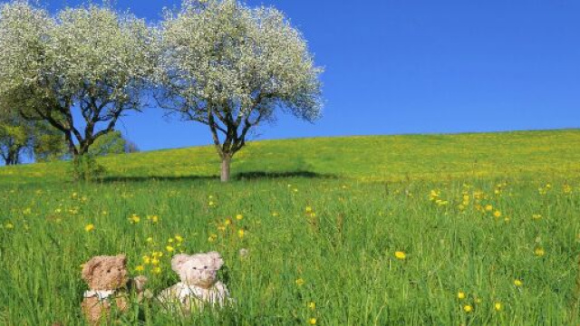 L'oroscopo del 9 maggio, previsioni primi sei segni: Ariete polemico, Toro paziente