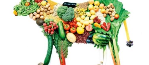 A carne nunca deve ser eliminada de uma hora para a outra. (Arquivo Blasting News)