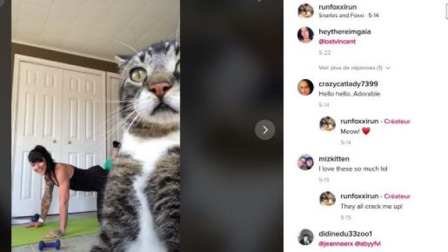 Snarles, le chat de Roxanne s'incruste r&eacute;guli&egrave;rement dans ses vid&eacute;os (source : TikTok @runfoxxirun)