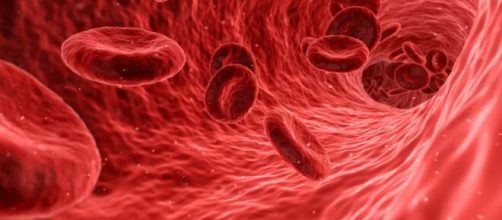 La sangre de tipo 0 es la que tiene una mayor protecci&oacute;n natural contra el coronavirus. (Foto de Piqsels)