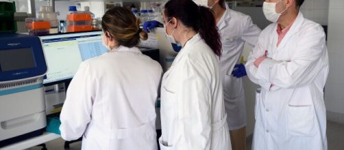 Seg&uacute;n la OMS no habr&aacute; vacuna contra el coronavirus en 2020.