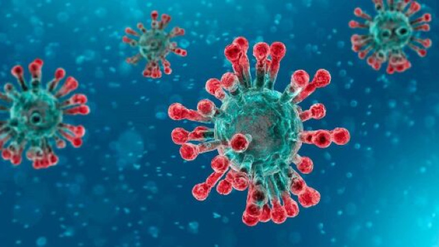 Coronavirus, bollettino 11 giugno.