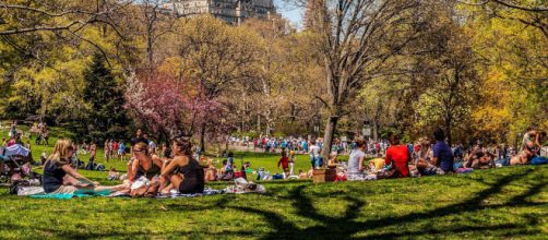 El Central Park de Nueva York ser&aacute; reabierto al p&uacute;blico, despu&eacute;s del confinamiento sanitario por el COVID-19.