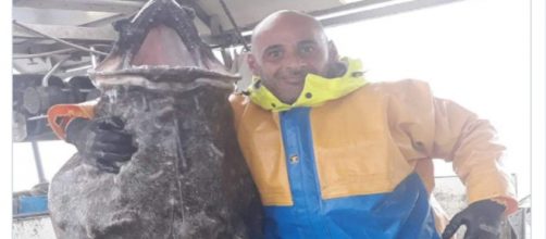 Un rape gigante es capturado en Lekeitio.