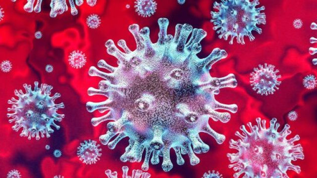 Coronavirus bollettino del 13 giugno