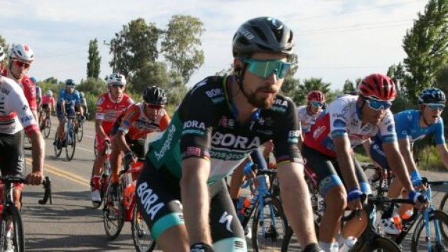 Peter Sagan per la prima volta correr&agrave; il Giro d'Italia.