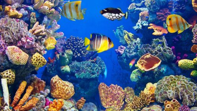 Acquario, astrologia del mese di luglio.