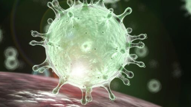 Coronavirus, il bollettino del 19 giugno 2020.