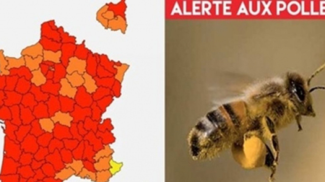 La France fortement touch&eacute;e par le pollen en ce moment - Montage photo