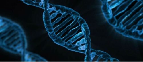 Beijing seems to focus its efforts on male citizens DNA. [Image Source: PublicDomainPictures via Pixabay