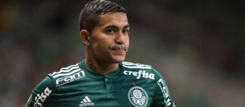 Dudu &eacute; jogador do Palmeiras. (Arquivo Blasting News)
