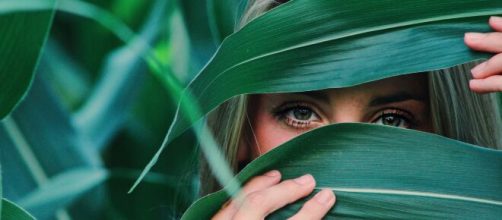 Signos e seu hor&oacute;scopo desta ter&ccedil;a (23). (Arquivo Blasting News)