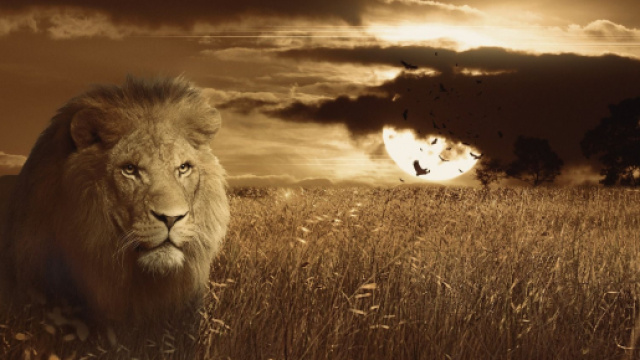 Oroscopo e classifica di gioved&igrave; 25 giugno: Leone lungimirante, scelte per l'Acquario.