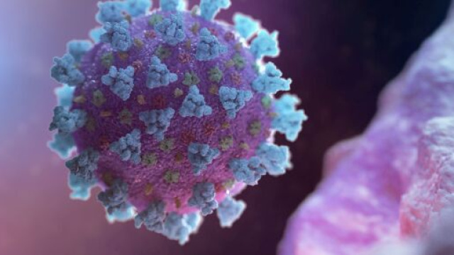 Coronavirus bollettino 25 giugno.