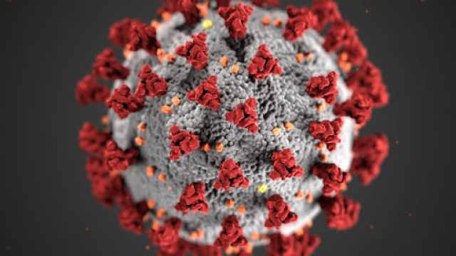 Nuovo focolaio di coronavirus a Mondragone in provincia di Caserta - foto di livescience.com.