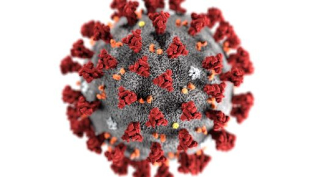 Coronavirus bollettino 26 giugno.