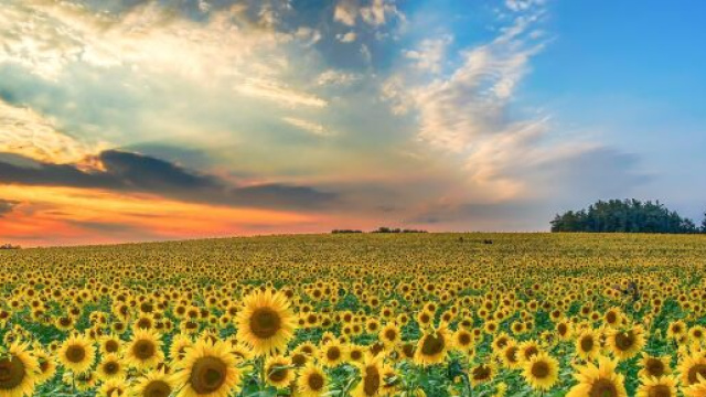 L'oroscopo di domani 1&deg; luglio, primi sei segni: parte benissimo il mese per l'Ariete.