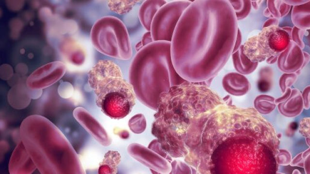 Tumori, studio di Yale trova l'ostacolo che impedisce al sistema immunitario di aggredirli.
