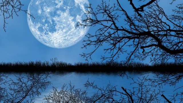 Oroscopo e previsioni astrali del 28 giugno: Toro deciso, Cancro decolla.