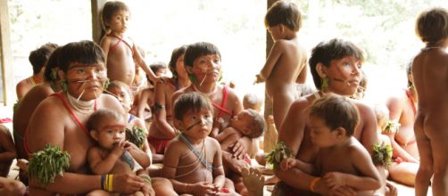 Lideran&ccedil;as yanomami alertam para poss&iacute;vel foco de covid-19 em comunidade. (Arquivo Blasting News)