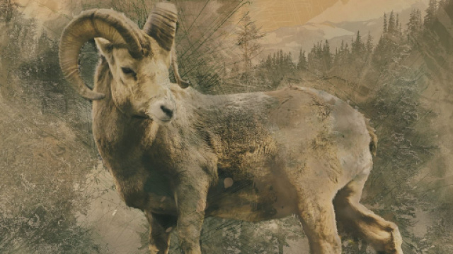 Previsioni zodiacali e classifica di marted&igrave; 30 giugno: lavoro top per Capricorno e Toro.