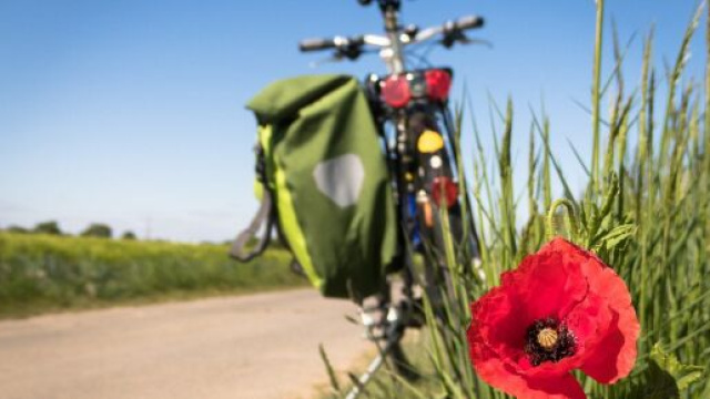 L'oroscopo e le previsioni del 4 giugno: Gemelli infiammabili, Capricorno insicuro.