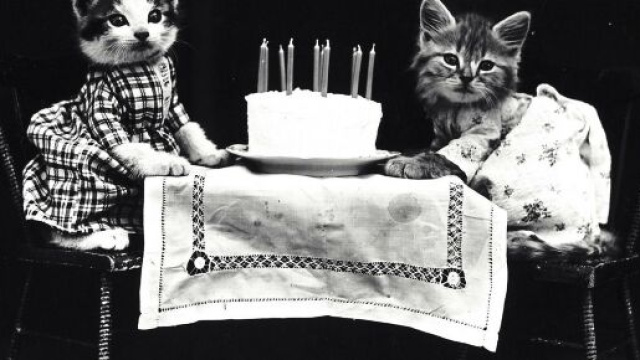 image d'illustration (source : Pixabay)