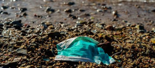 Un problema ecol&oacute;gico se suma a la pandemia por coronavirus.