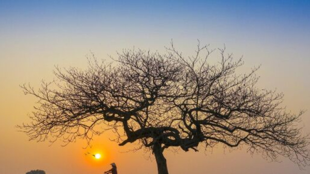 L'oroscopo del 7 giugno e le previsioni delle stelle: Cancro curioso, Vergine impulsiva.