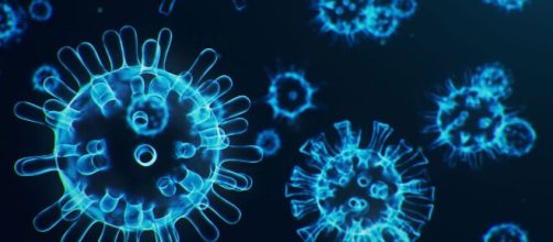 Portal da covid-19 do Minist&eacute;rio da Sa&uacute;de volta ao ar com n&uacute;mero limitado de informa&ccedil;&otilde;es sobre a epidemia. (Arquivo Blasting News)