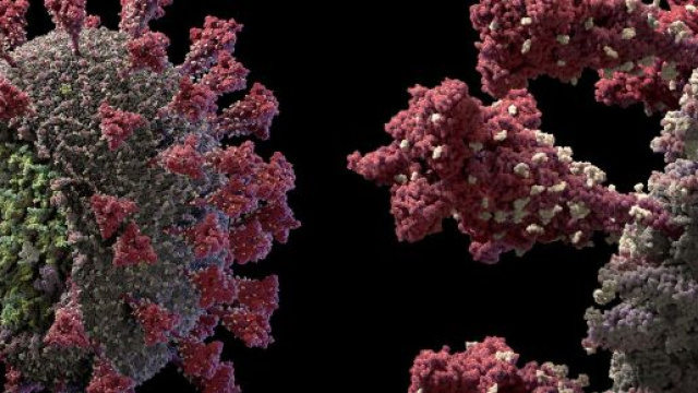 Coronavirus, bollettino 8 giugno 2020.