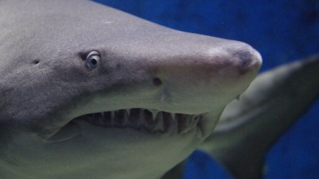 image d'illustration (source : Pixabay)