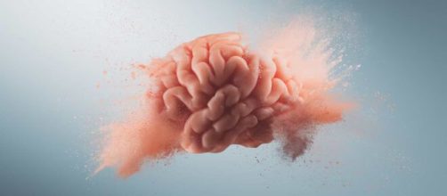 Alimentos capazes de turbinarem o c&eacute;rebro. (Arquivo Blasting News)