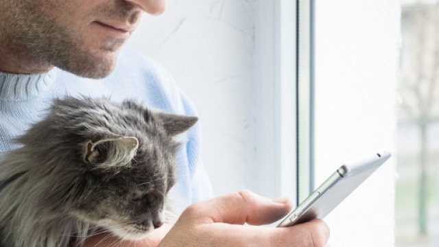 illicoVeto, la plateforme de conseils de v&eacute;t&eacute;rinaires. Credit: Shutterstock