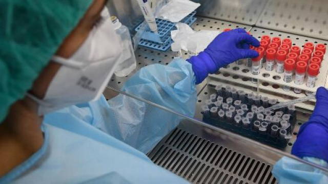 Oms, Van Kerkhove: 'E' raro che asintomatici trasmettano il Sars-Cov-2'.