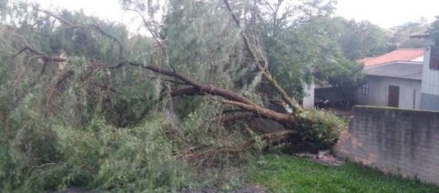 Sobe para 10 o número de mortes causadas pelo 'ciclone bomba' no sul do Brasil