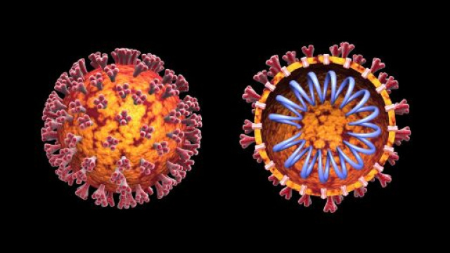 Aggiornamento bollettino coronavirus.