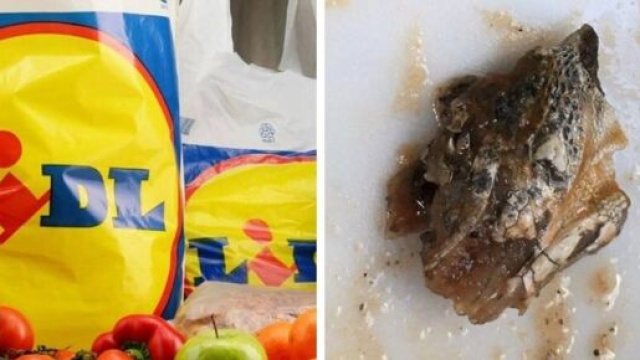 Lidl : D&eacute;couverte gla&ccedil;ante dans le magasin - photo capture d'&eacute;cran