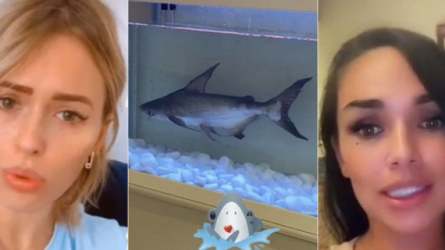 Un requin dans un aquarium dans la villa de la JLC Family, Jazz r&eacute;agit et Virginie clashe la famille de Duba&iuml;.